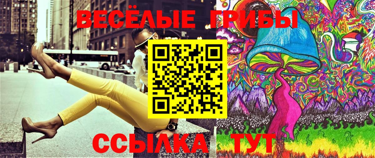 Псилоцибиновые грибы Cubensis  Псилоцибиновые грибы ЛСД  Гулькевичи  Вход с VPN 